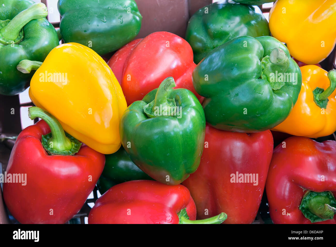 Bunte rote grüne gelbe Paprika in südostasiatischen Markt Closeup Stockfoto