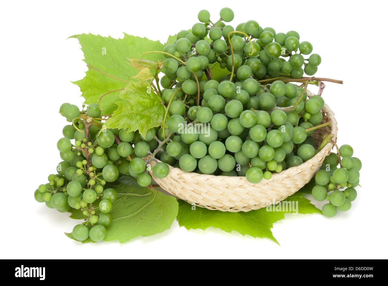 grüne Trauben liegen in einem Korb Stockfoto