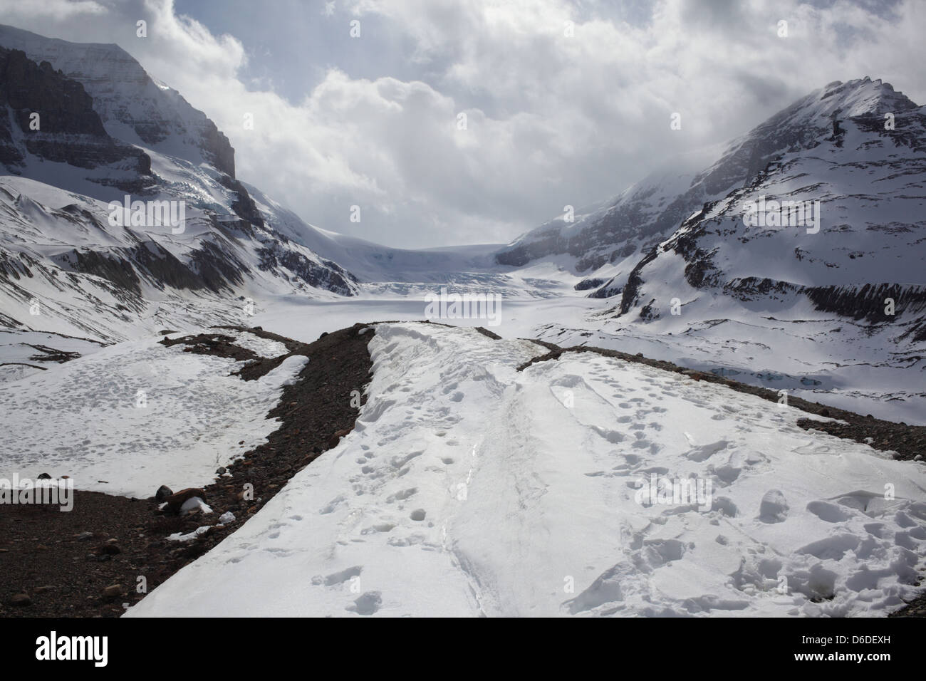 Athabasca Gletscher und das Columbia Icefield (Jasper-Nationalpark) Stockfoto