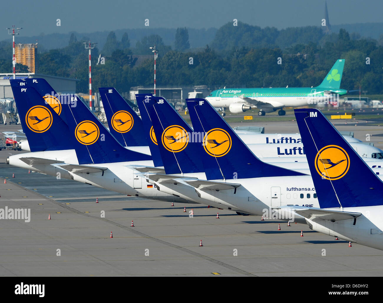 Flugzeuge der Fluggesellschaft Lufthansa sind auf eine Start-und Landebahn des Flughafens in Düsseldorf, Deutschland, 7. September 2012 gesehen. Die Union fordert einen 24-stündigen landesweiten Streik der Flugbegleiter der Lufthansa Ufo. Foto: Federico Gambarini Stockfoto