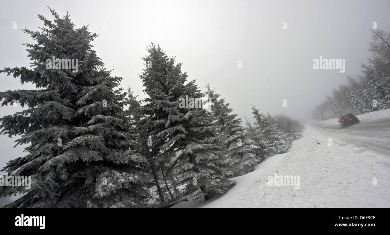 Ein Auto fährt durch den Schnee in der Nähe von Altenberg, Deutschland, 17. Januar 2012. Laut Meteorologen kommt das Wetter im Erzgebirge mit minus zwei Grad Celsius, Schnee und Graupel. Foto: ARNO BURGI Stockfoto