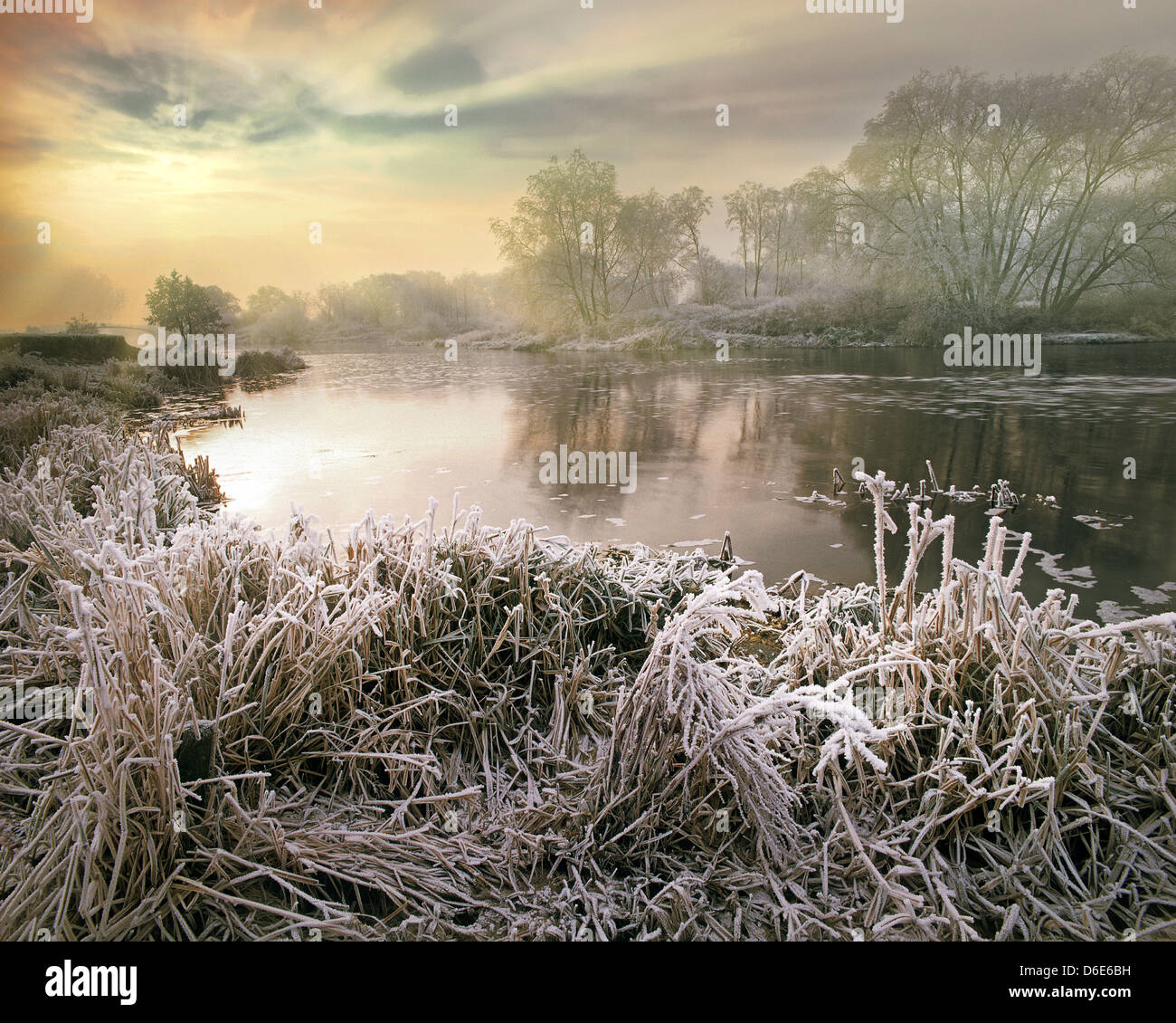 GB - WORCESTERSHIRE: Winter entlang Fluß Avon Stockfoto