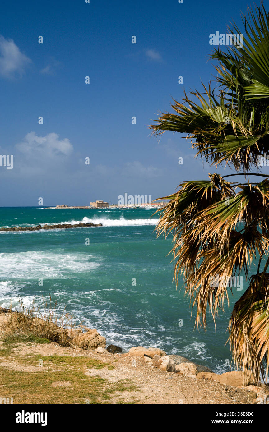 Strand-Paphos-Zypern Stockfoto