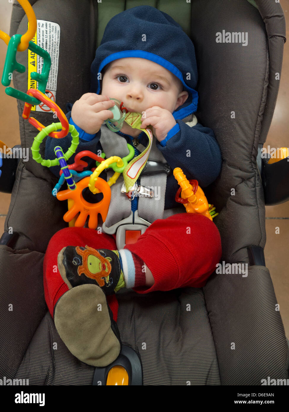 Baby im Trader Joe's Grocery Store einkaufen Stockfoto