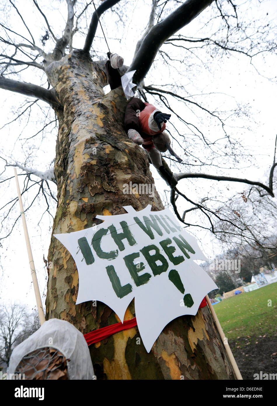 Gegner des umstrittenen Bahnprojekt Stuttgart 21 haben Protest Zeichen und Puppen auf Bäume im Schlossgarten in Stuttgart, Deutschland, 27. Januar 2012 gelegt. In den kommenden Tagen für den Bau des neuen Bahnhofs werden mehrere Bäume gefällt werden. Die deutsche Nichtregierungsorganisation widmet sich der Erhaltung der Natur und des Schutzes der Environment BUN Stockfoto