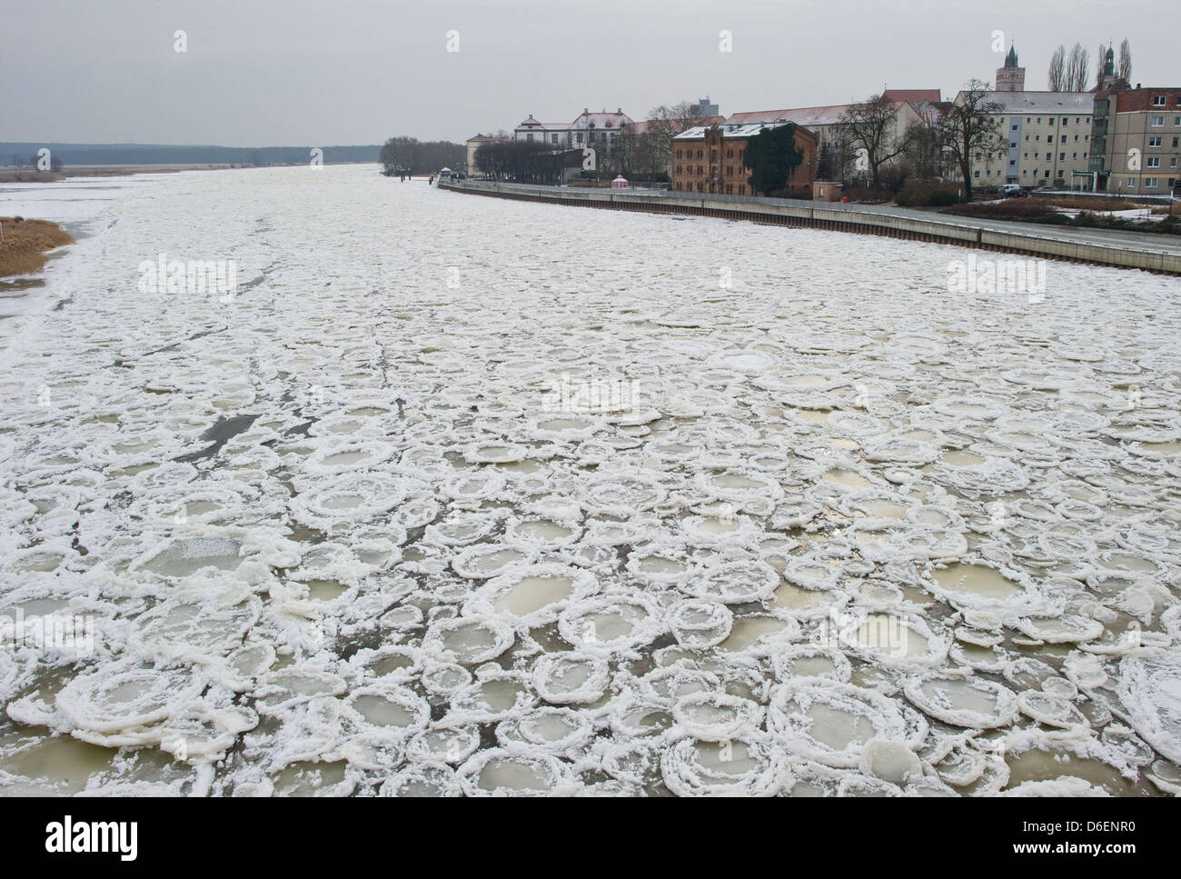 Die gefrorenen zusammen Eisschollen sind von der Stadtbruecke-Brücke in Frankfurt Oder, Deutschland, 7. Februar 2012 abgebildet. Das Treibeis gekommen zum Stillstand mehr als 140 Kilometer des Flusses Oder entlang an der Grenze zwischen Deutschland und Polen. Foto: PATRICK PLEUL Stockfoto