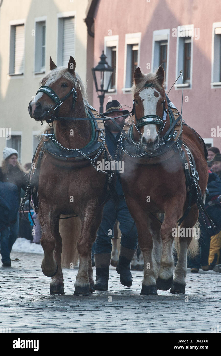 Zwei Pferde sind auf dem Pferdemarkt (Rossmarkt) in Berching, Deutschland, 8. Februar 2012 geführt. Der Rossmarkt ist das größte bayerische Volksfest im Winter. Einige der Pferdebesitzer kommen seit Jahrzehnten zur Messe. Foto: Armin Weigel Stockfoto