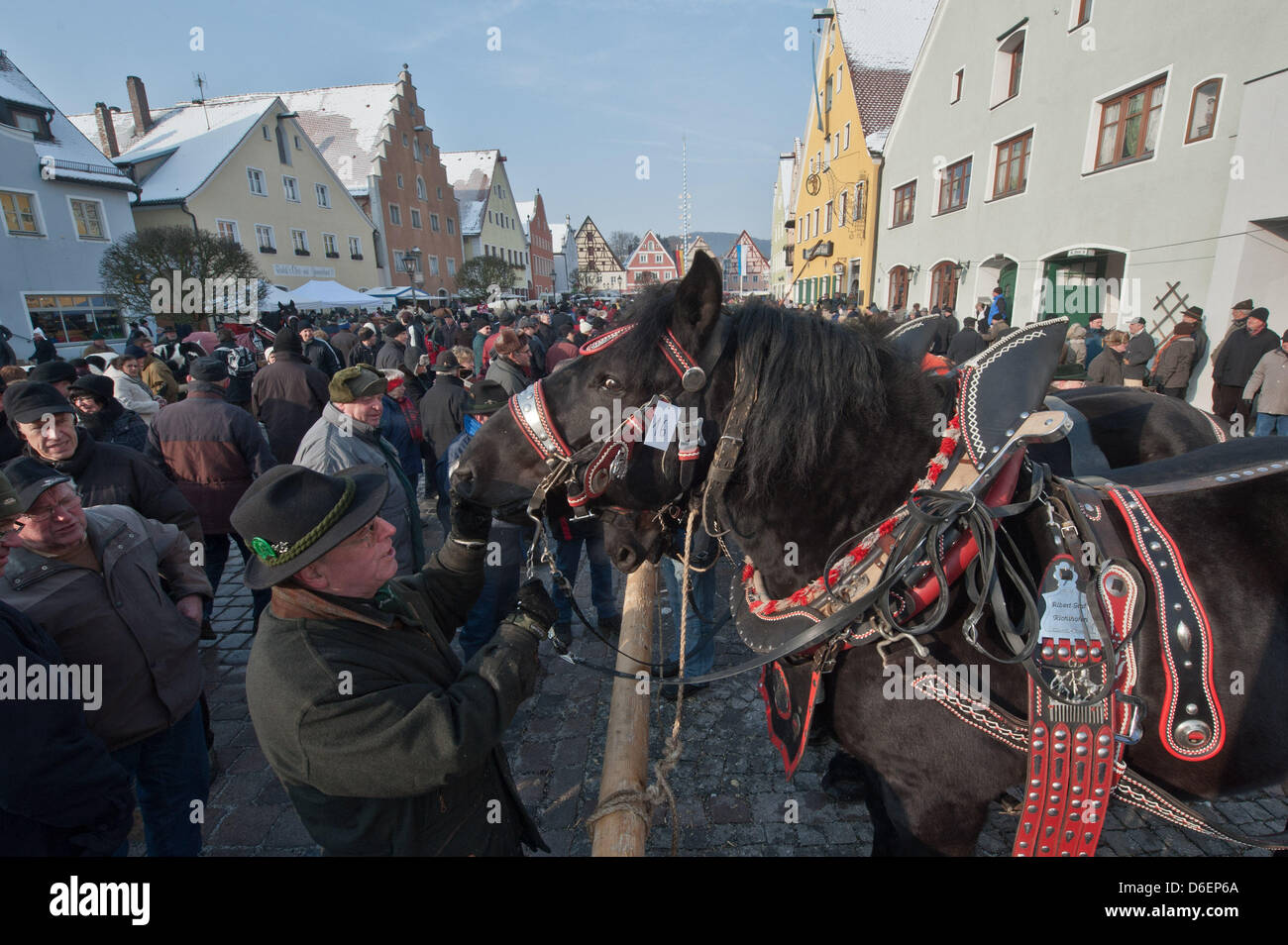 Zahlreiche Menschen besuchen den Pferdemarkt (Rossmarkt) in Berching, Deutschland, 8. Februar 2012. Der Rossmarkt ist das größte bayerische Volksfest im Winter. Einige der Pferdebesitzer kommen seit Jahrzehnten zur Messe. Foto: Armin Weigel Stockfoto