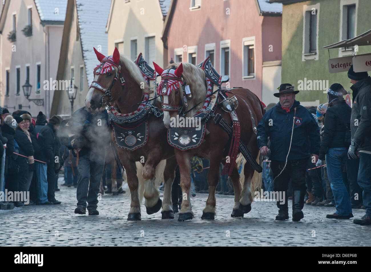 Zwei Pferde sind auf dem Pferdemarkt (Rossmarkt) in Berching, Deutschland, 8. Februar 2012 geführt. Der Rossmarkt ist das größte bayerische Volksfest im Winter. Einige der Pferdebesitzer kommen seit Jahrzehnten zur Messe. Foto: Armin Weigel Stockfoto