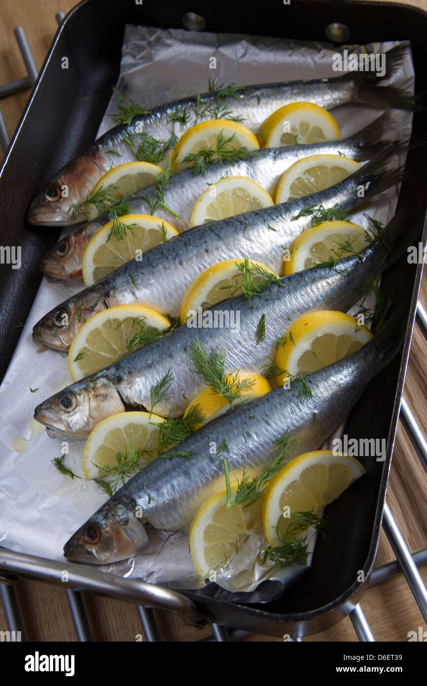 Sardinen in Backform mit Kräutern, Zitrone und Olivenöl Stockfoto