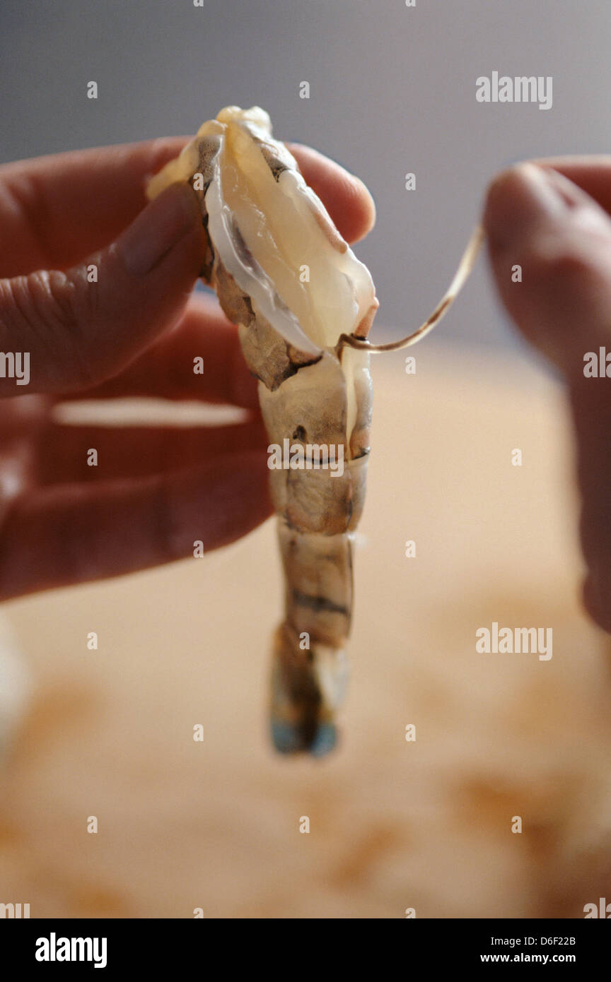 Darm-Trakt entfernen aus einer Garnele Stockfoto