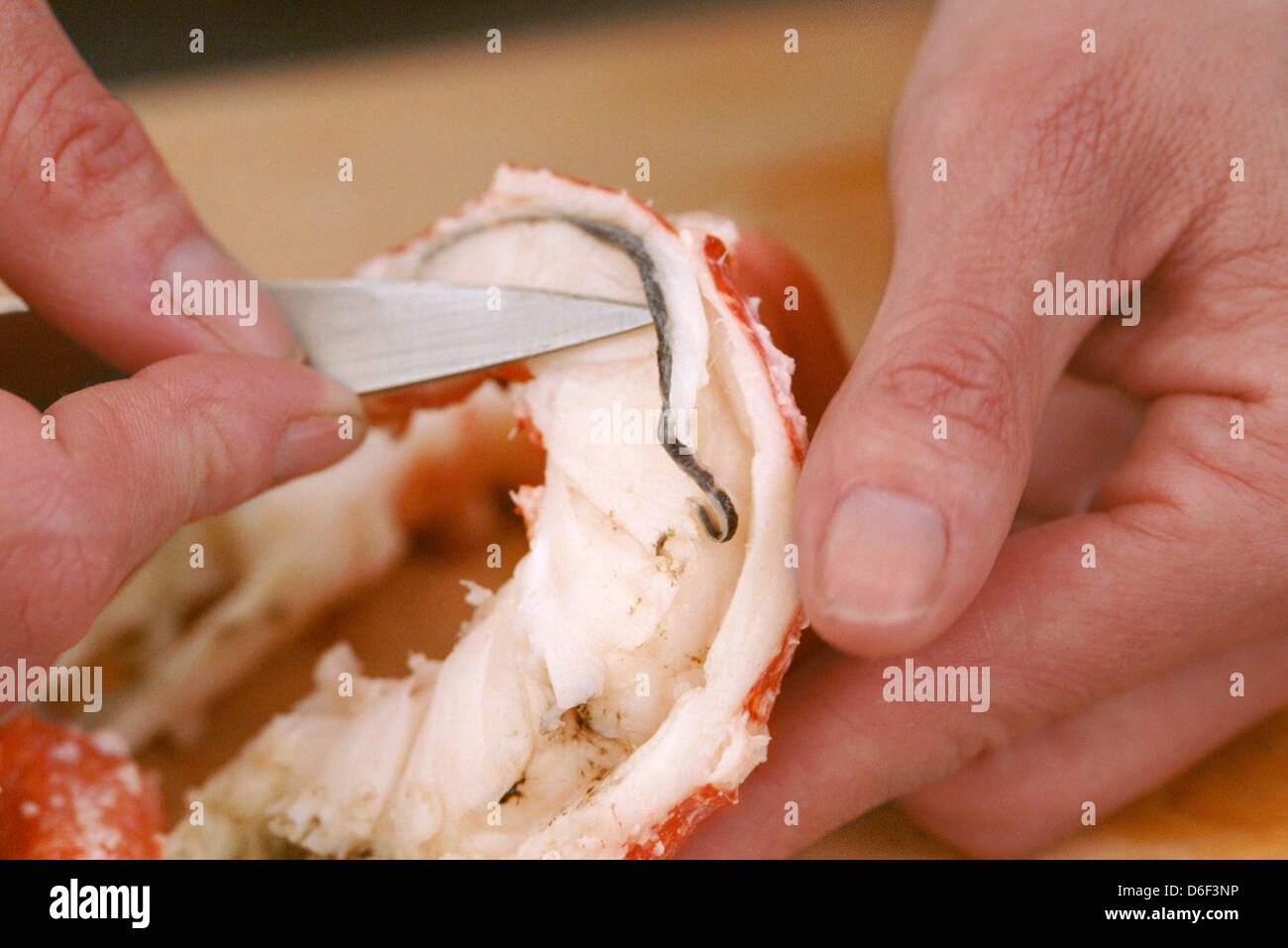 Darm-Trakt entfernen aus Hummerfleisch Heck Stockfoto