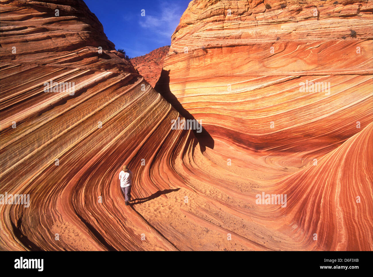Touristen, die zu Fuß auf dem Sandstein flossen in Coyote Buttes north Wave Vermillion Cliffs Utah Arizona Vereinigte Staaten von Amerika Stockfoto