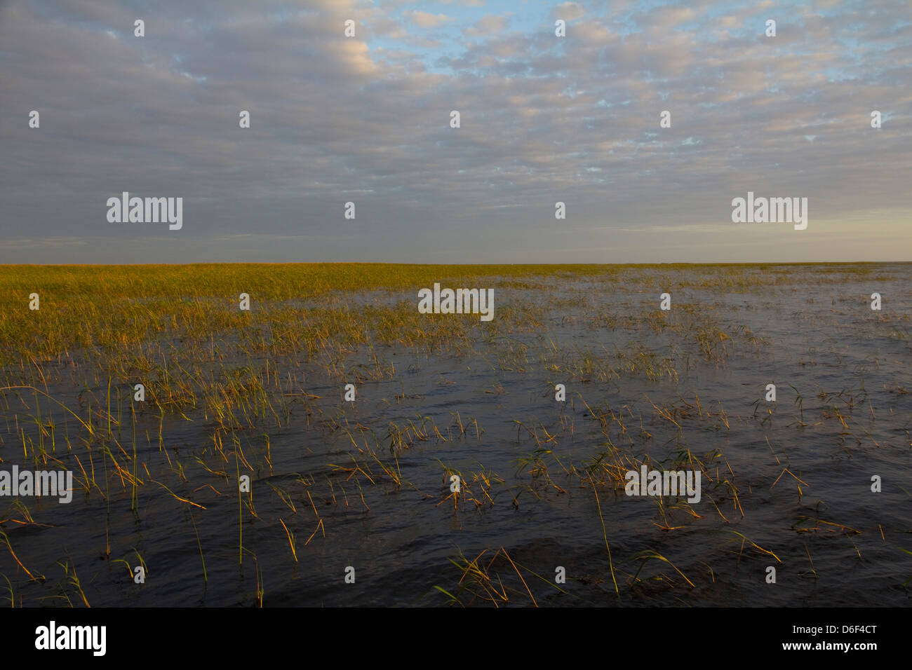 Lake Okeechobee ist der größte US-See befindet sich vollständig im Staat Florida Stockfoto
