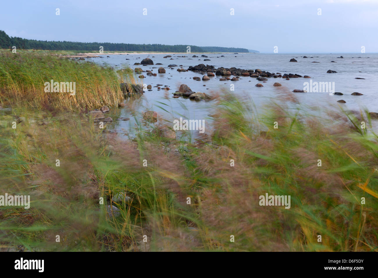 Windigen Abend an der Küste von Hiiumaa, Estland Stockfoto