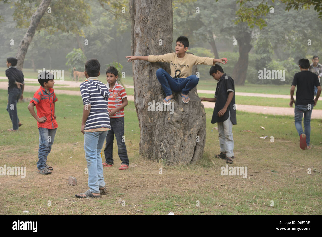 Das Imperium, das auf einem Baum saß, während in einem Park in Delhi, Indien, von indischen Jungen ein Cricket-Spiel gespielt wurde Stockfoto