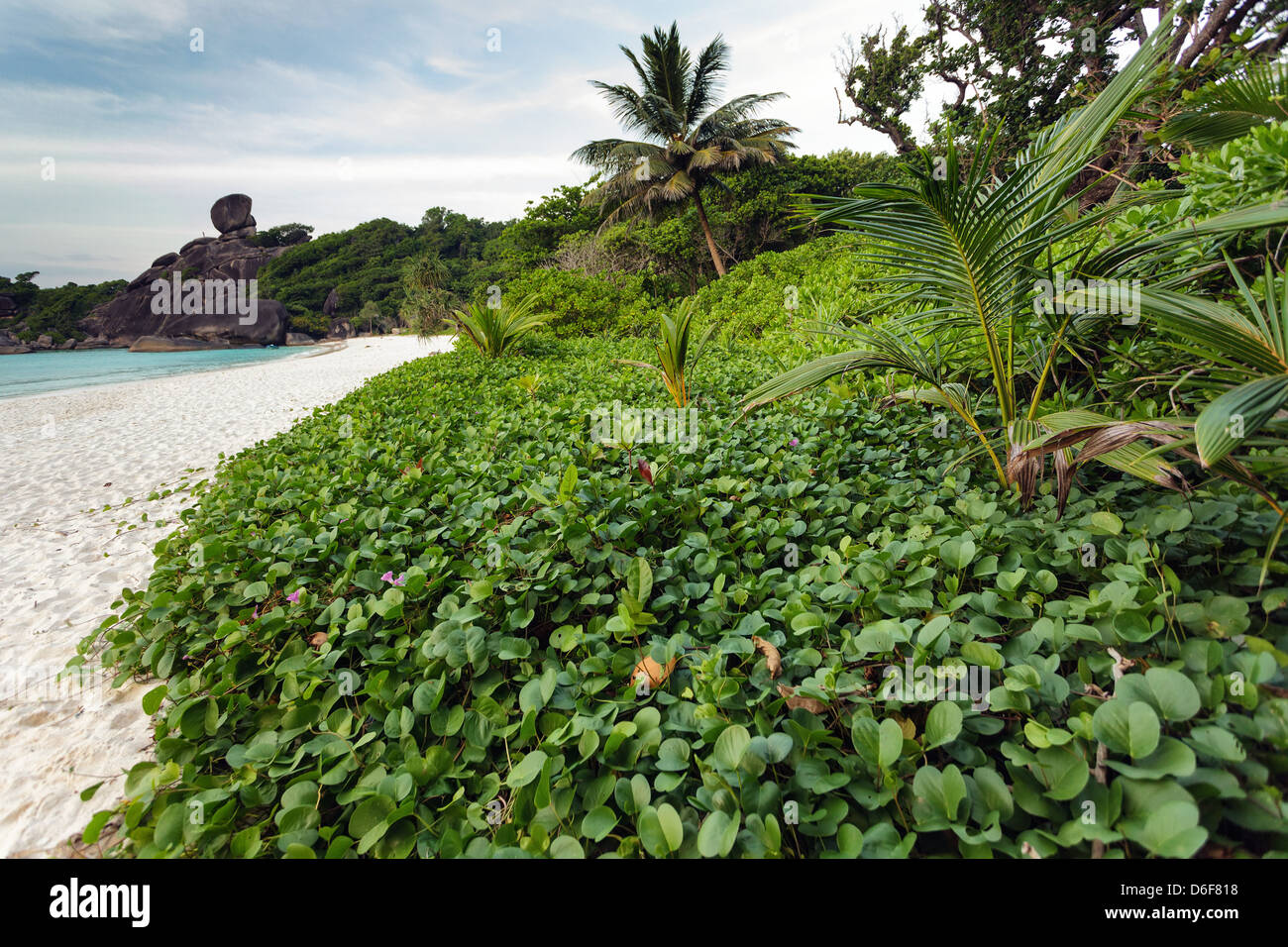 Mu Ko Similan Insel Natur Blick, Thailand Stockfoto