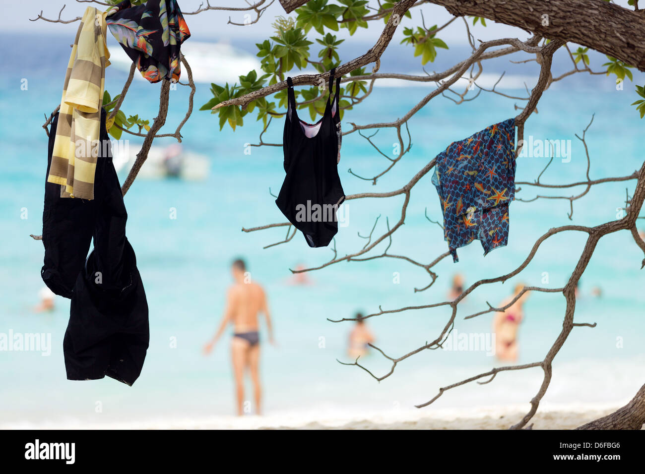 Touristen-Klamotten auf einem Baum im Mu Ko Similan Island, Thailand Stockfoto
