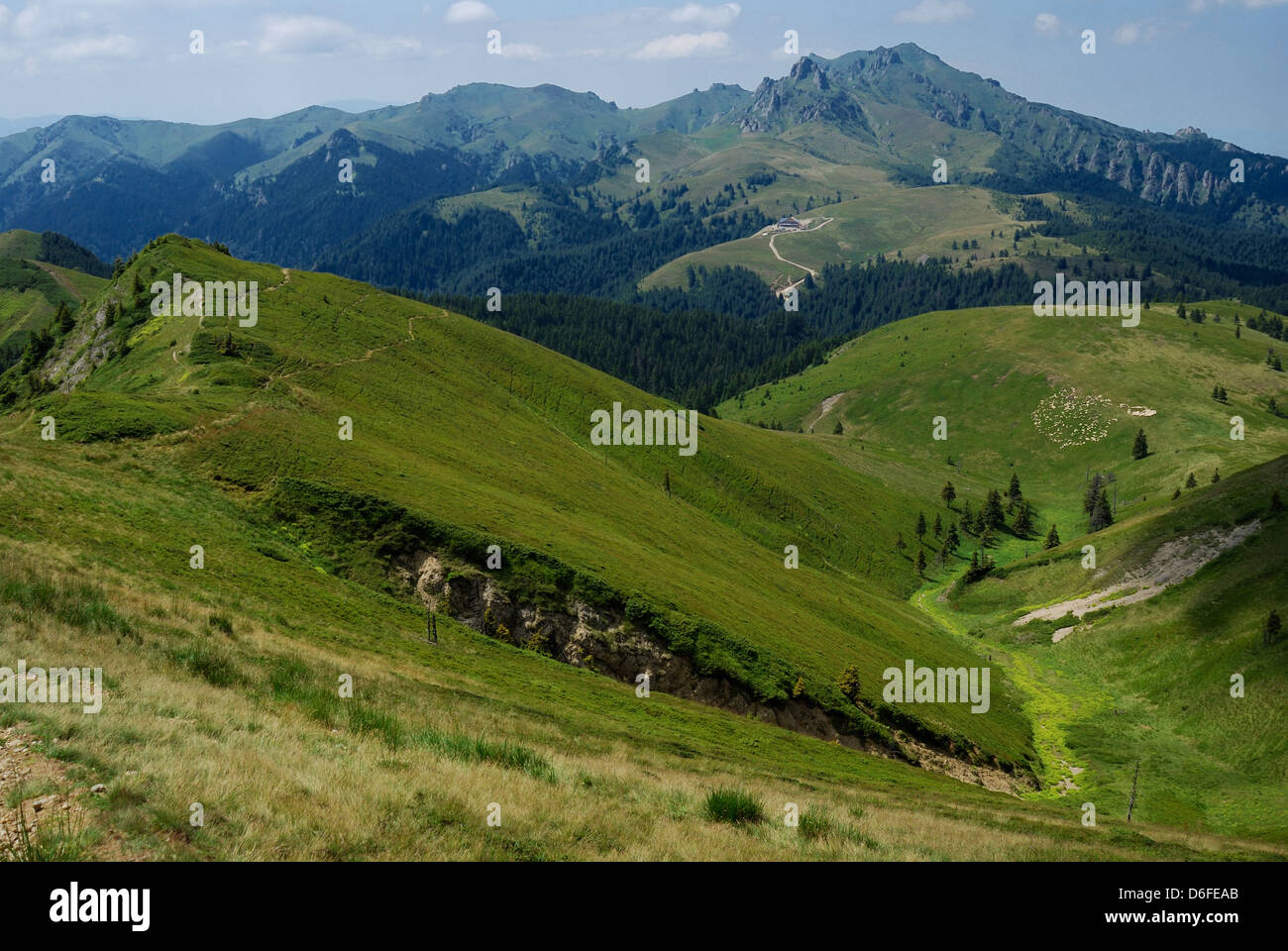 Naturkulisse in Karpaten, Ridge in Rumänien, Europa. Ciucas Gebirge. Stockfoto