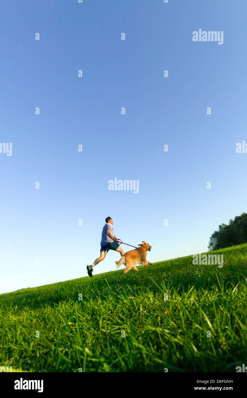 Mittleren Alter Mann auf einer Wiese mit einem Golden Retriever Hund läuft. Stockfoto