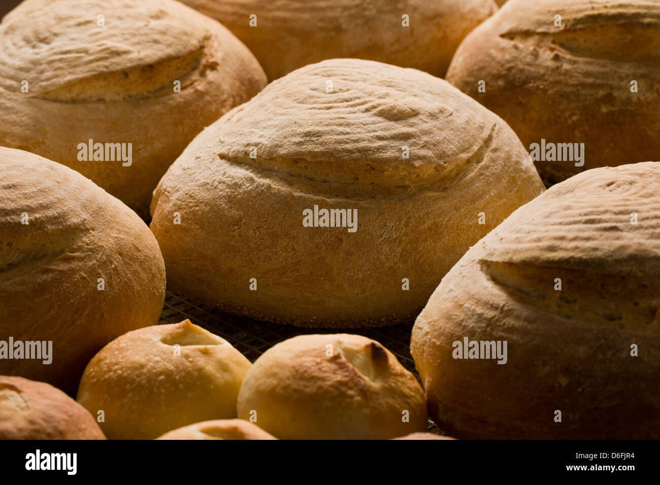 Frisch gebackenes Brot zum Verkauf in einer kommerziellen Bäckerei Stockfoto