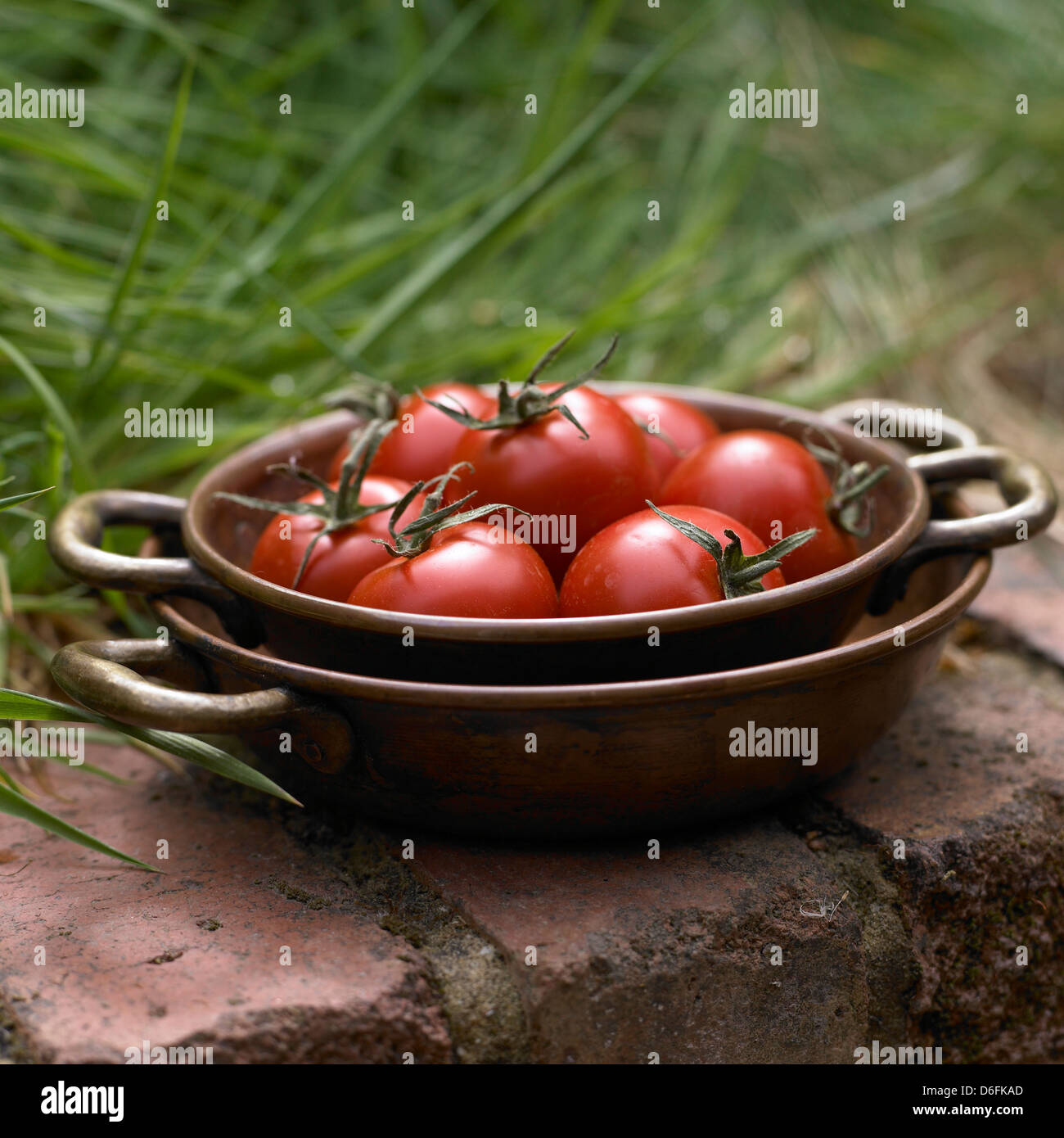 Tomaten in einer kupfernen Schüssel Stockfoto