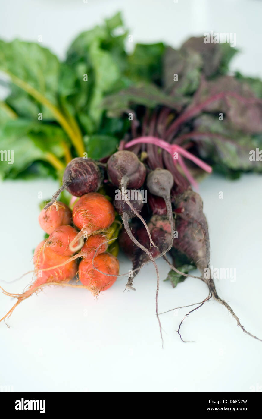 Rote und goldene rote Beete Stockfoto
