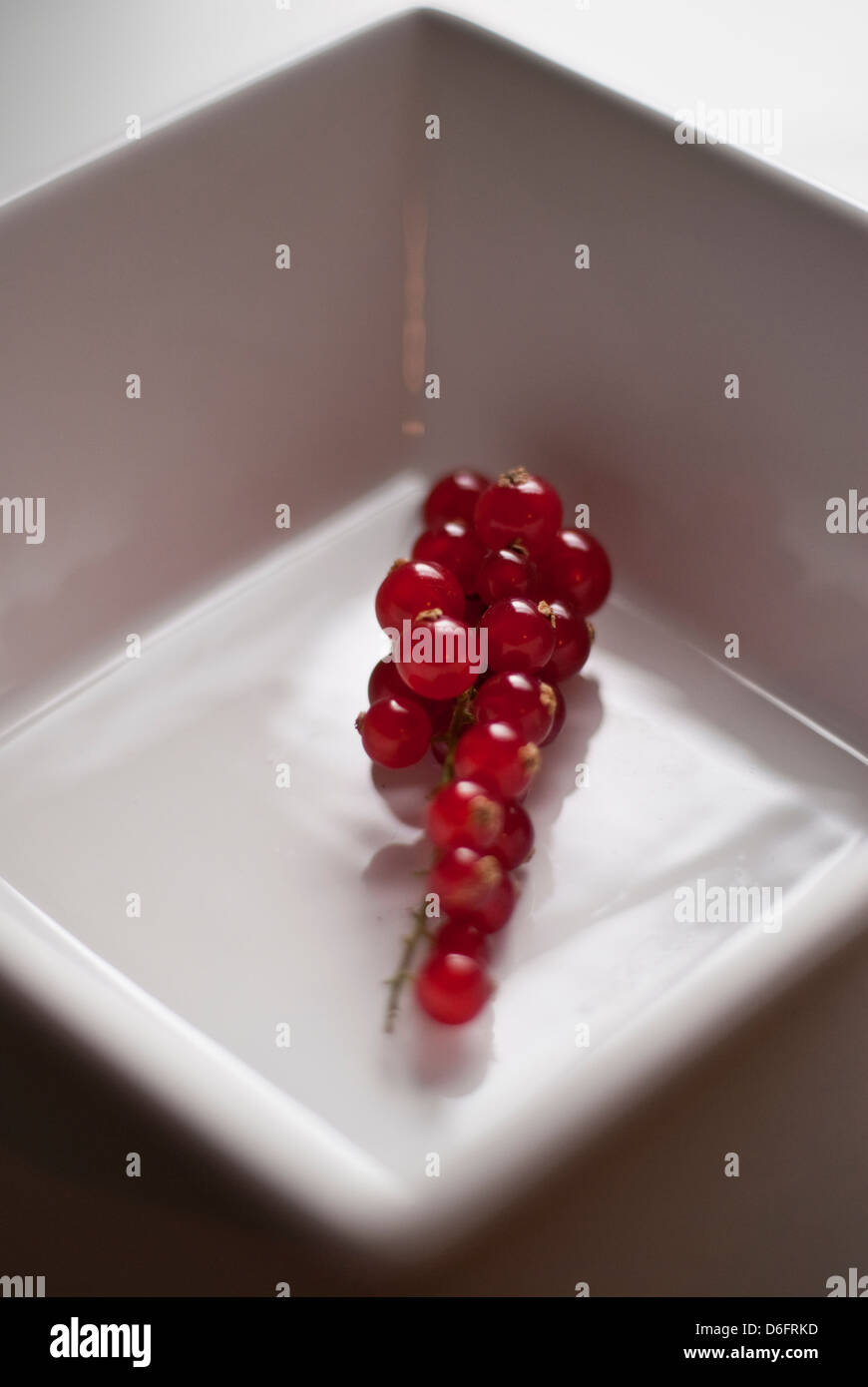 Rote Johannisbeeren Stockfoto