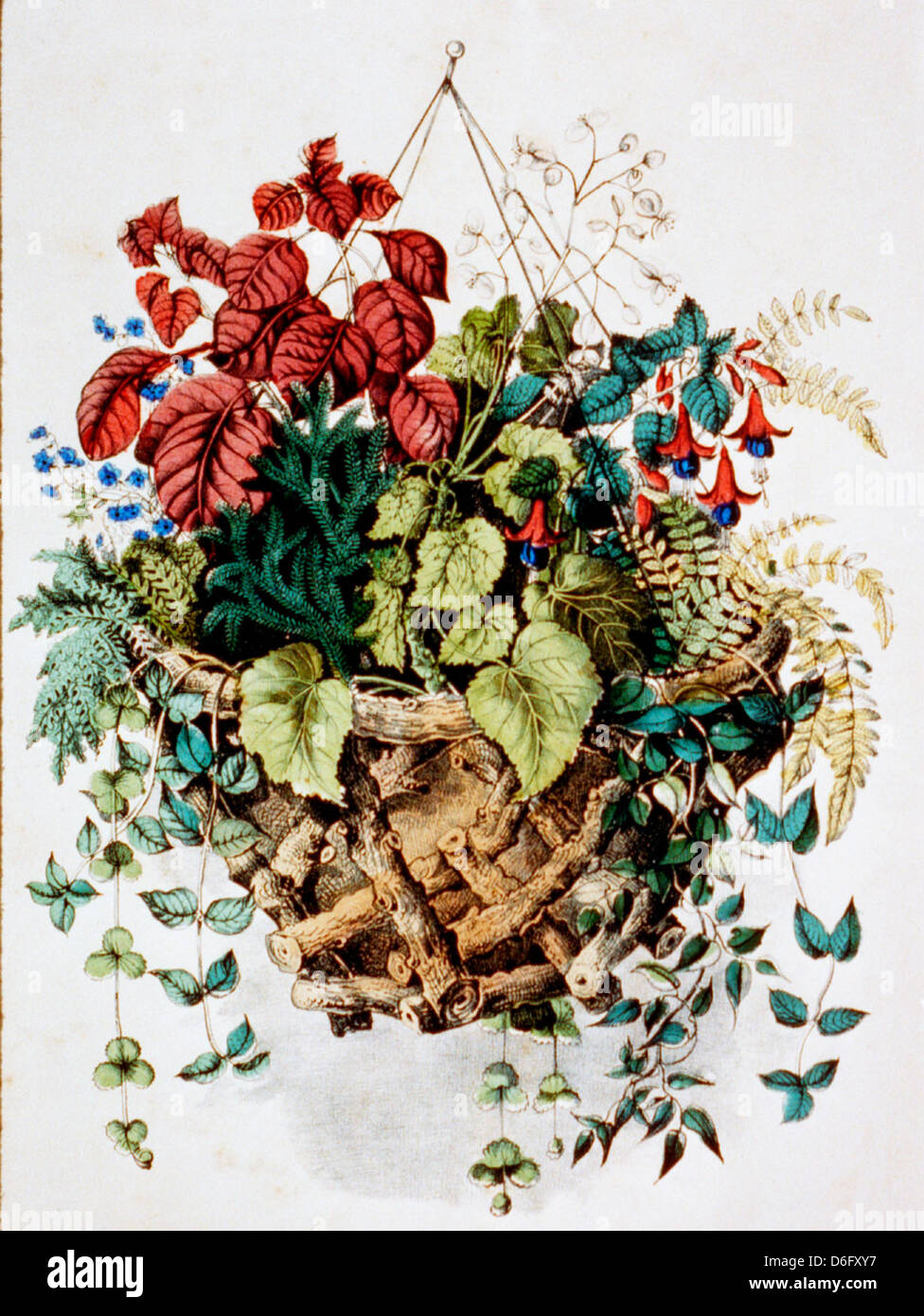 Rustikaler Korb - Hand farbige Lithographie um 1870 Stockfoto