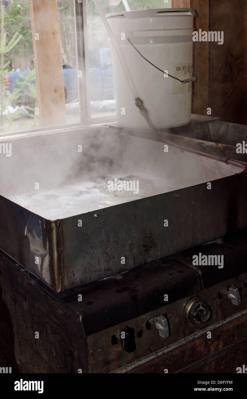 Ein Bio-Landwirt Ausrüstung für Ahorn Sirup kochen. Stockfoto