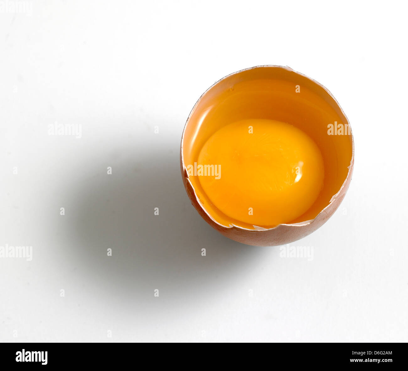 Bio-Ei Eigelb in der Schale Stockfoto