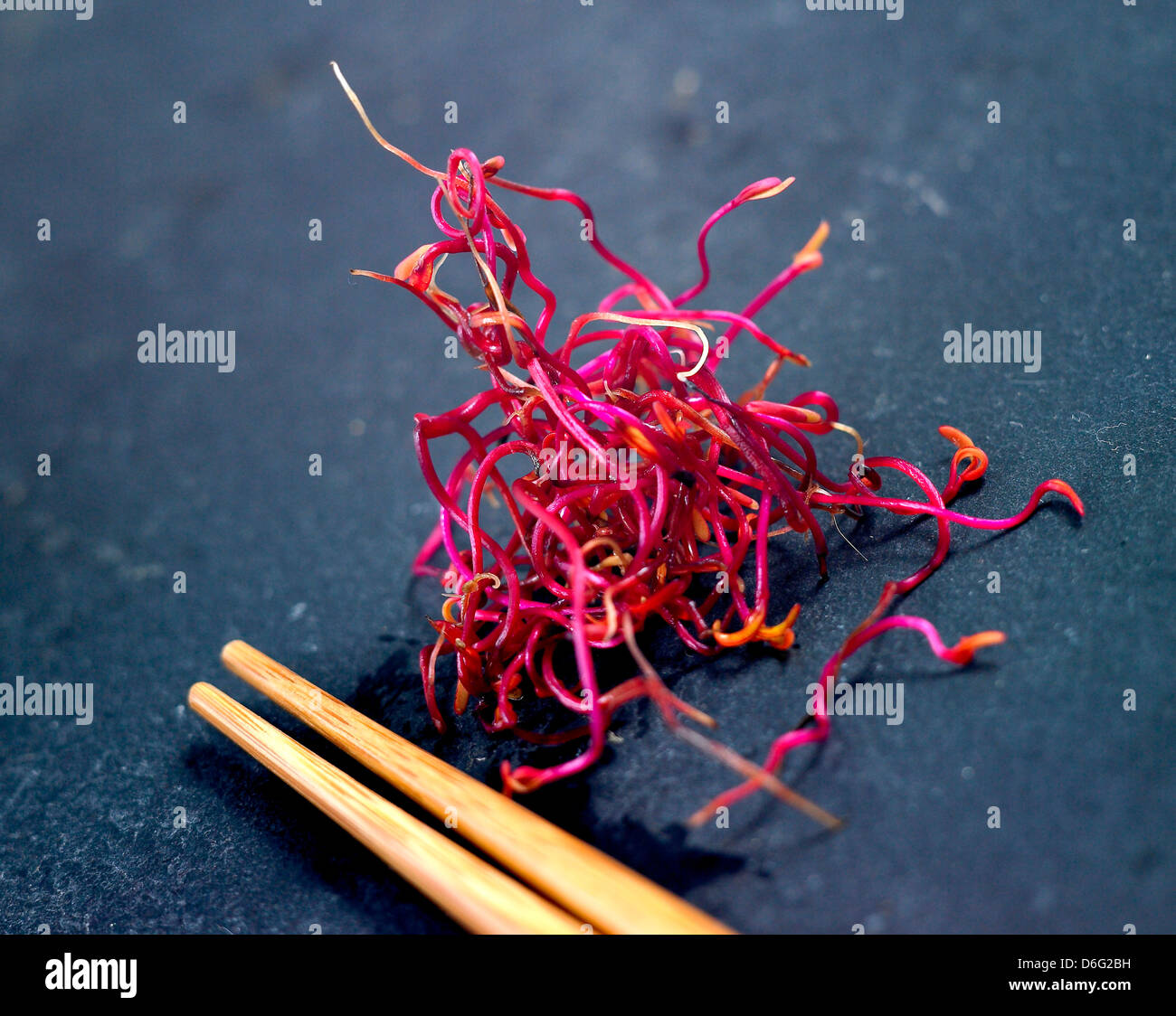 Mikro-Salat rote Beete Sprossen Stockfotografie - Alamy