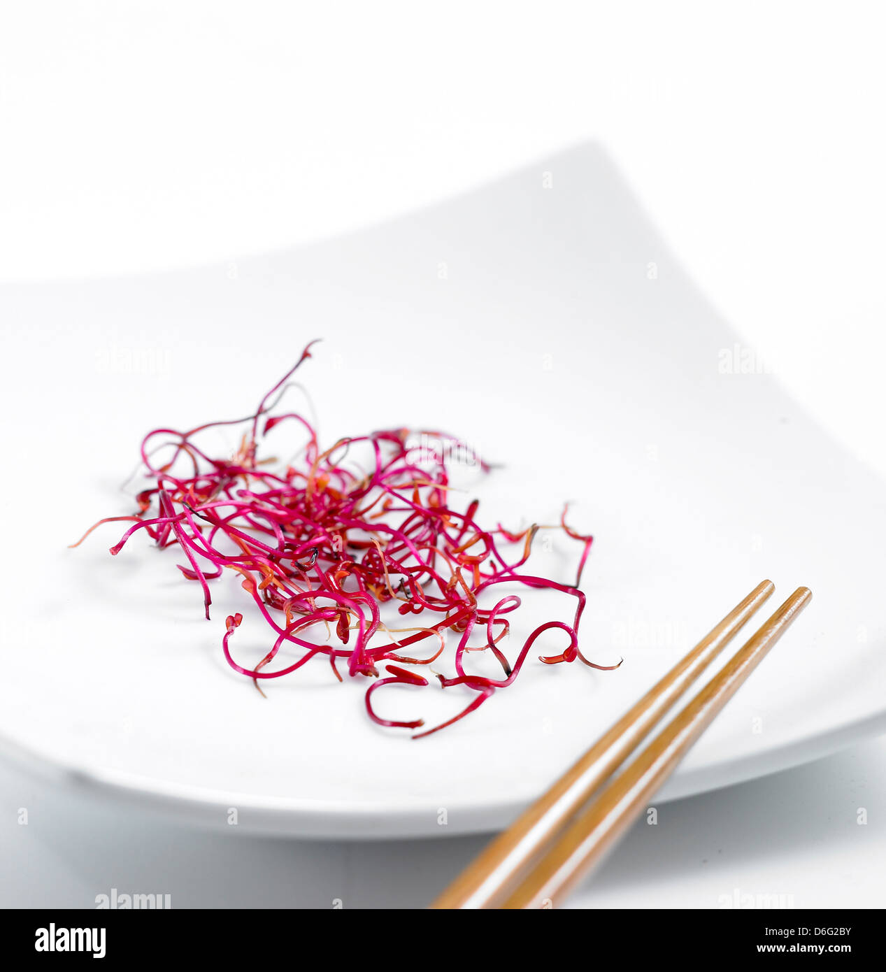 Mikro-Salat rote Beete Sprossen Stockfoto