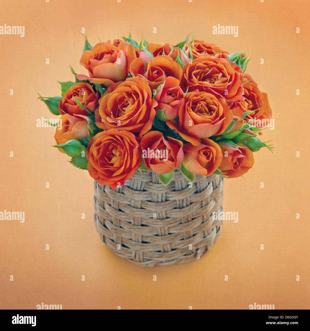 Bouquet von orange Rosen auf strukturierten Hintergrund Stockfoto