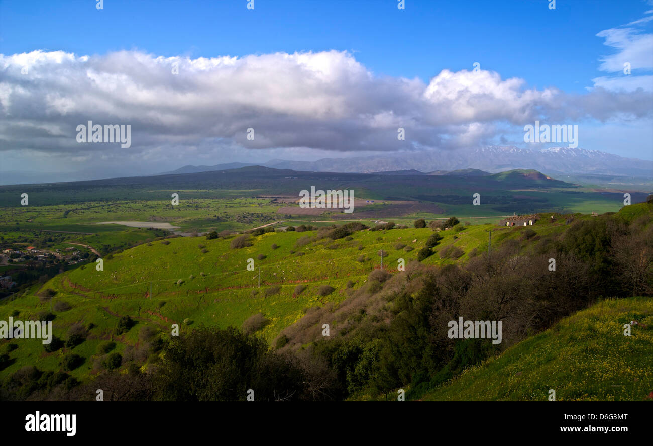 Mount Avital und Mount Bental Nature Reserve, Golan Heights, Israel die