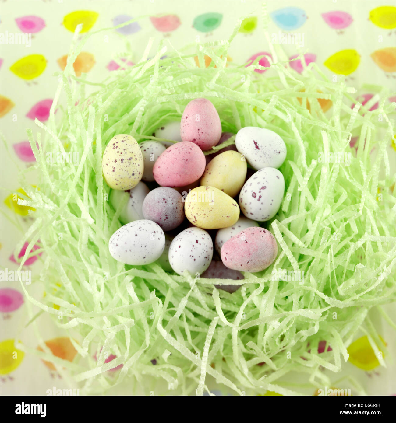 Mini Schokoladeneier in einem dekorativen nest Stockfotografie - Alamy