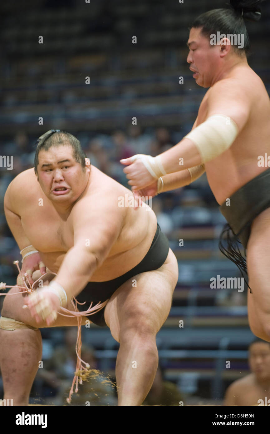 Fukuoka Sumo Wettbewerb, Kyushu Basho, Fukuoka City, Kyushu, Japan, Asien Stockfoto