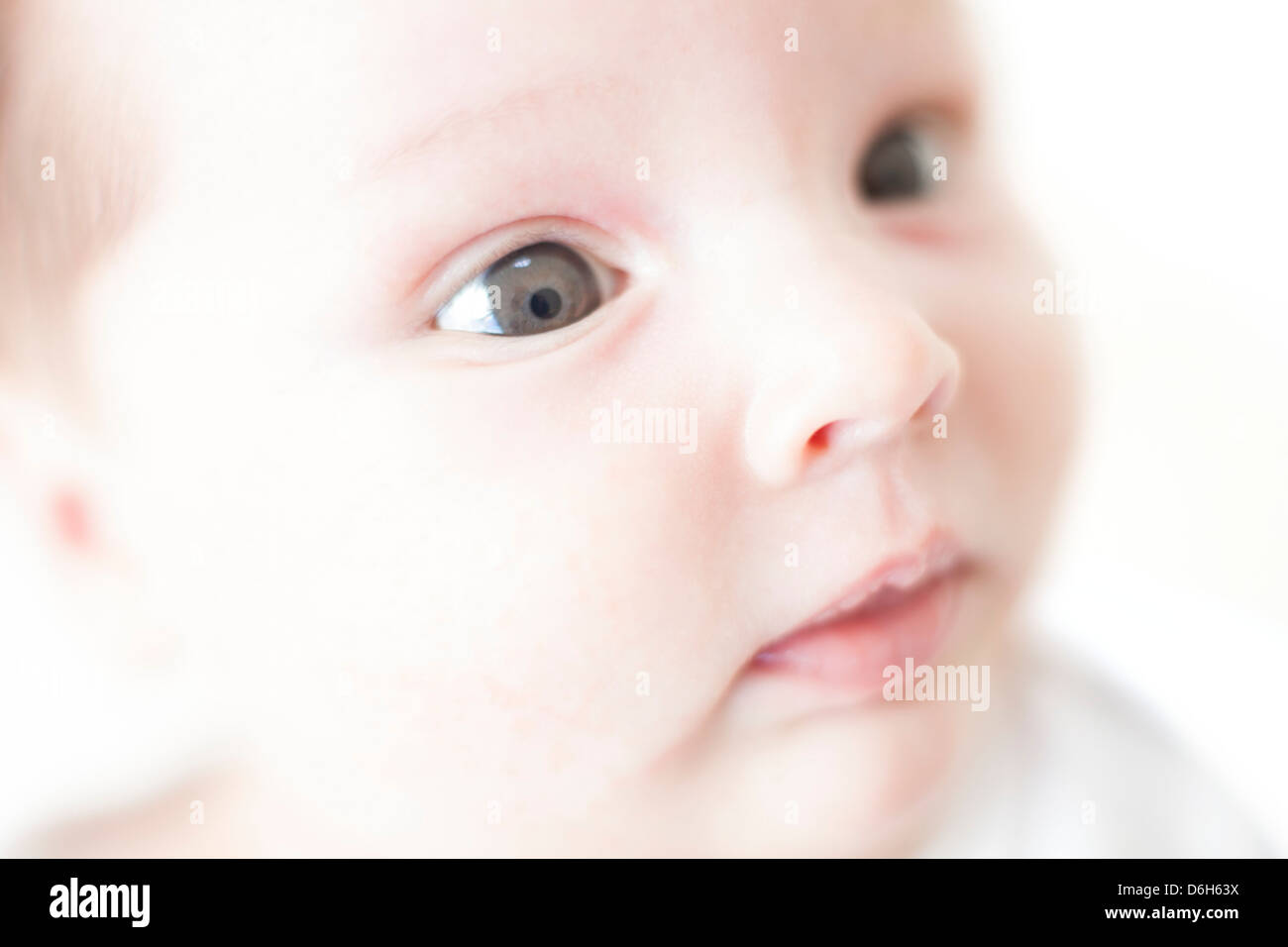 Fünf Wochen alten Babymädchen Stockfoto