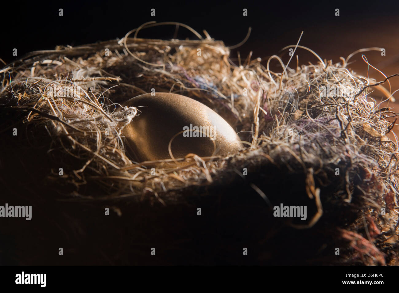 Goldenes Ei im nest Stockfoto