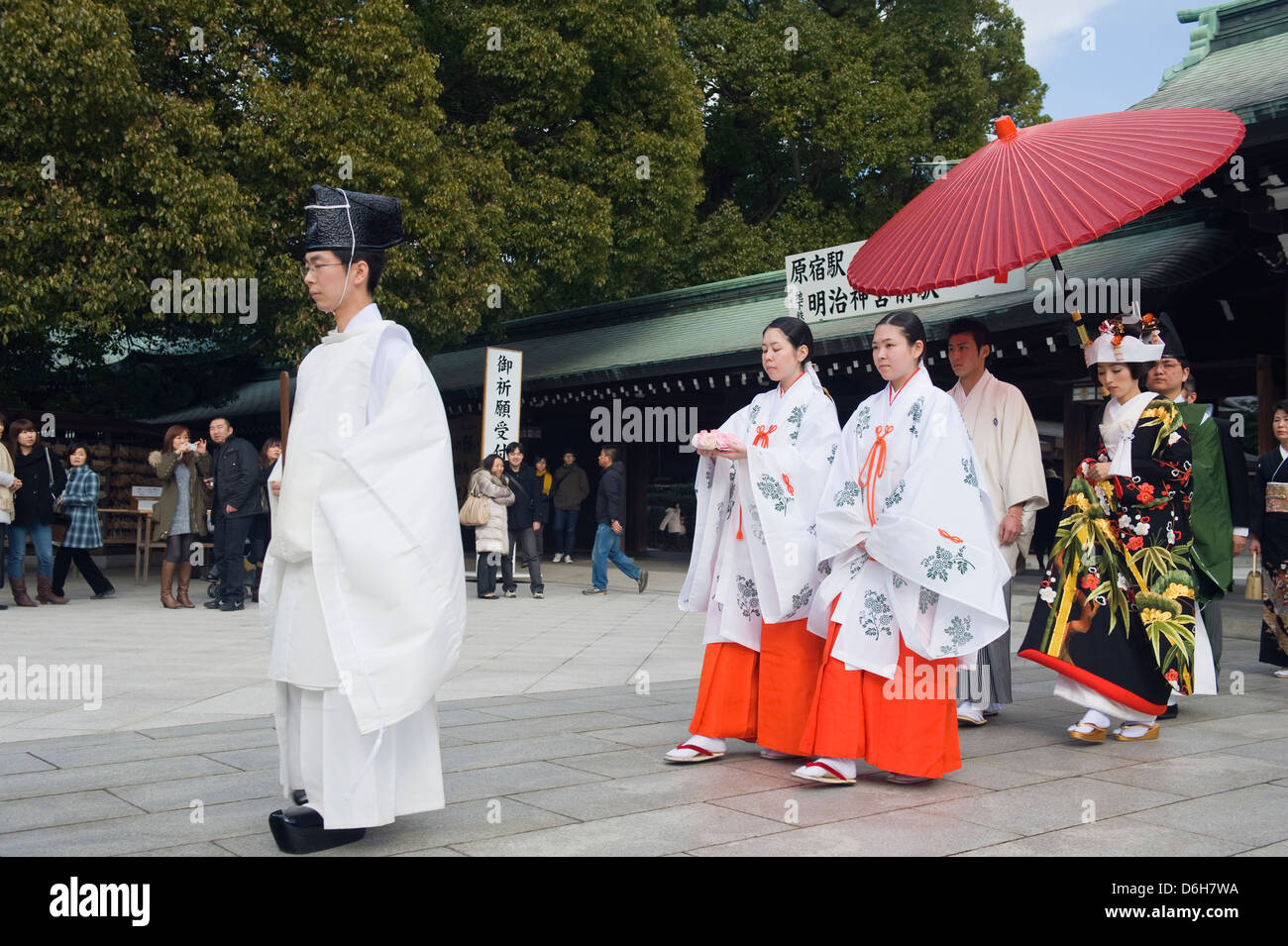Trauung, Meiji-Jingu Schrein, Tokyo, Japan, Asien Stockfoto
