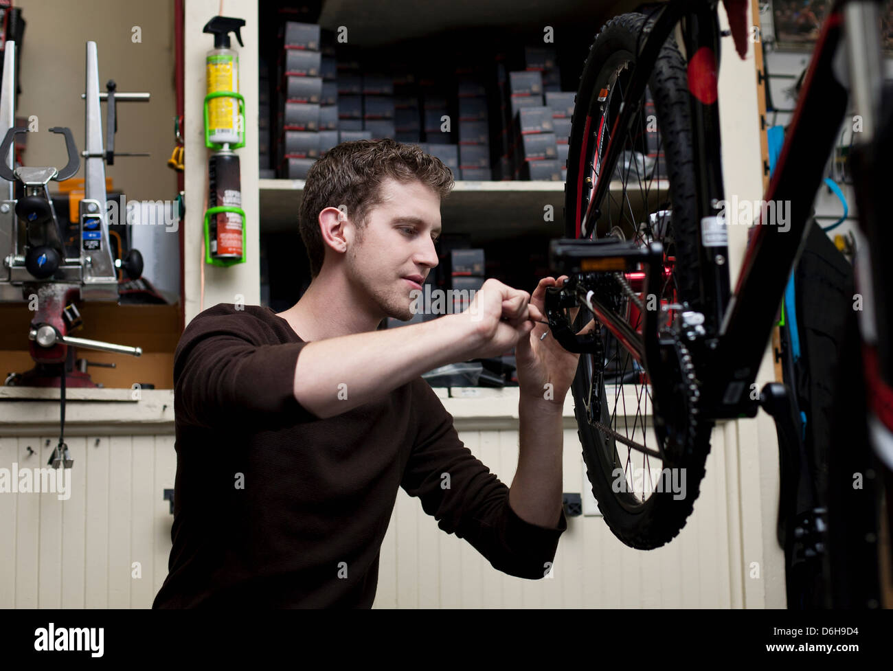 Mechaniker arbeiten in Fahrradwerkstatt Stockfoto
