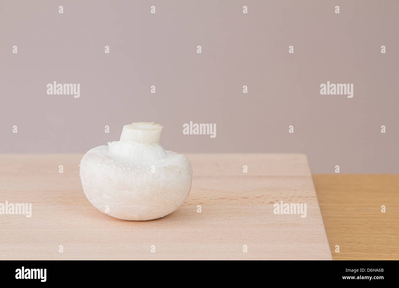 Einzigen Pilz auf hölzernen Hackstock Stockfoto