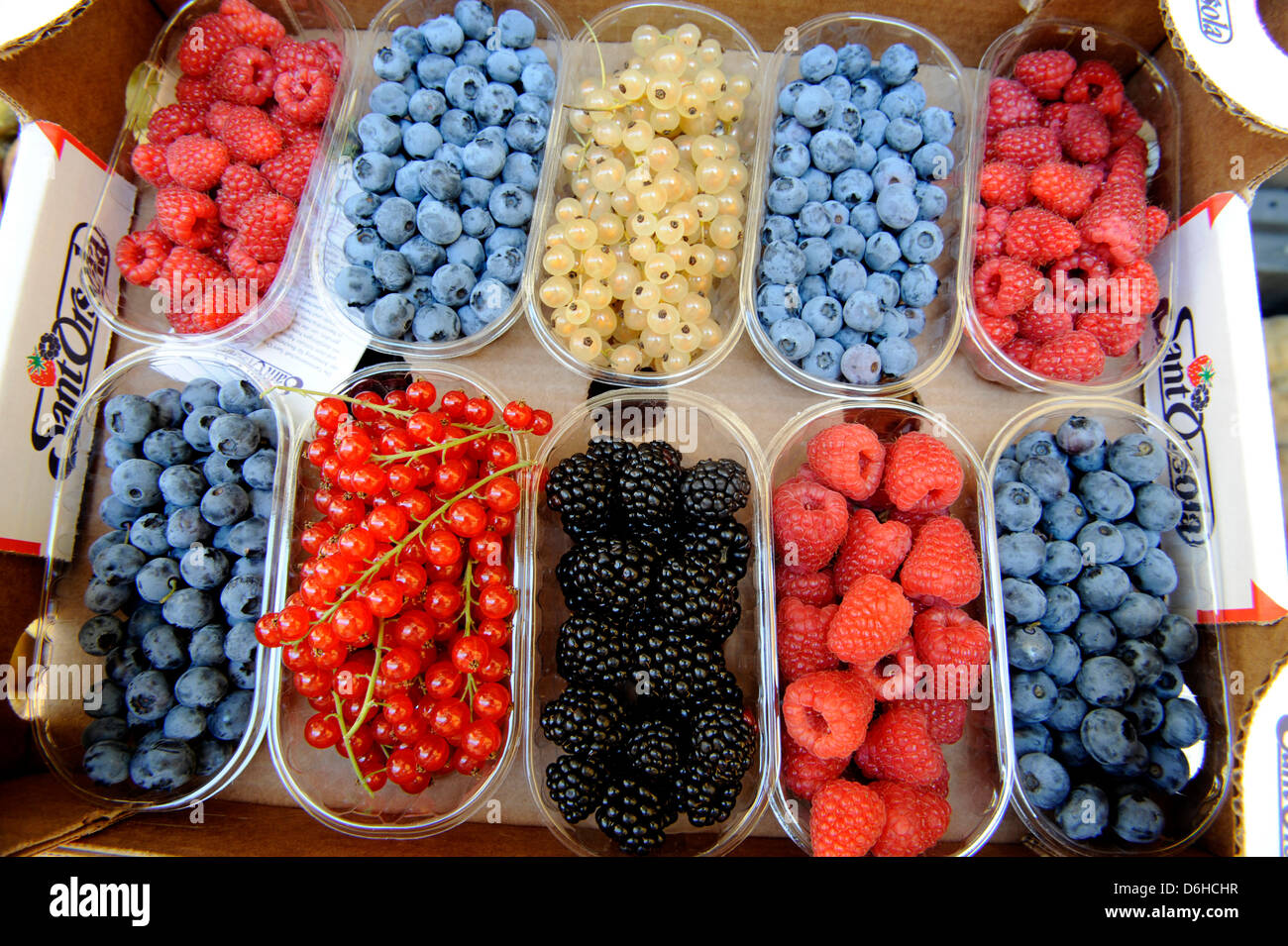 Frischen Sommerbeeren zum Verkauf in Italien Stockfoto