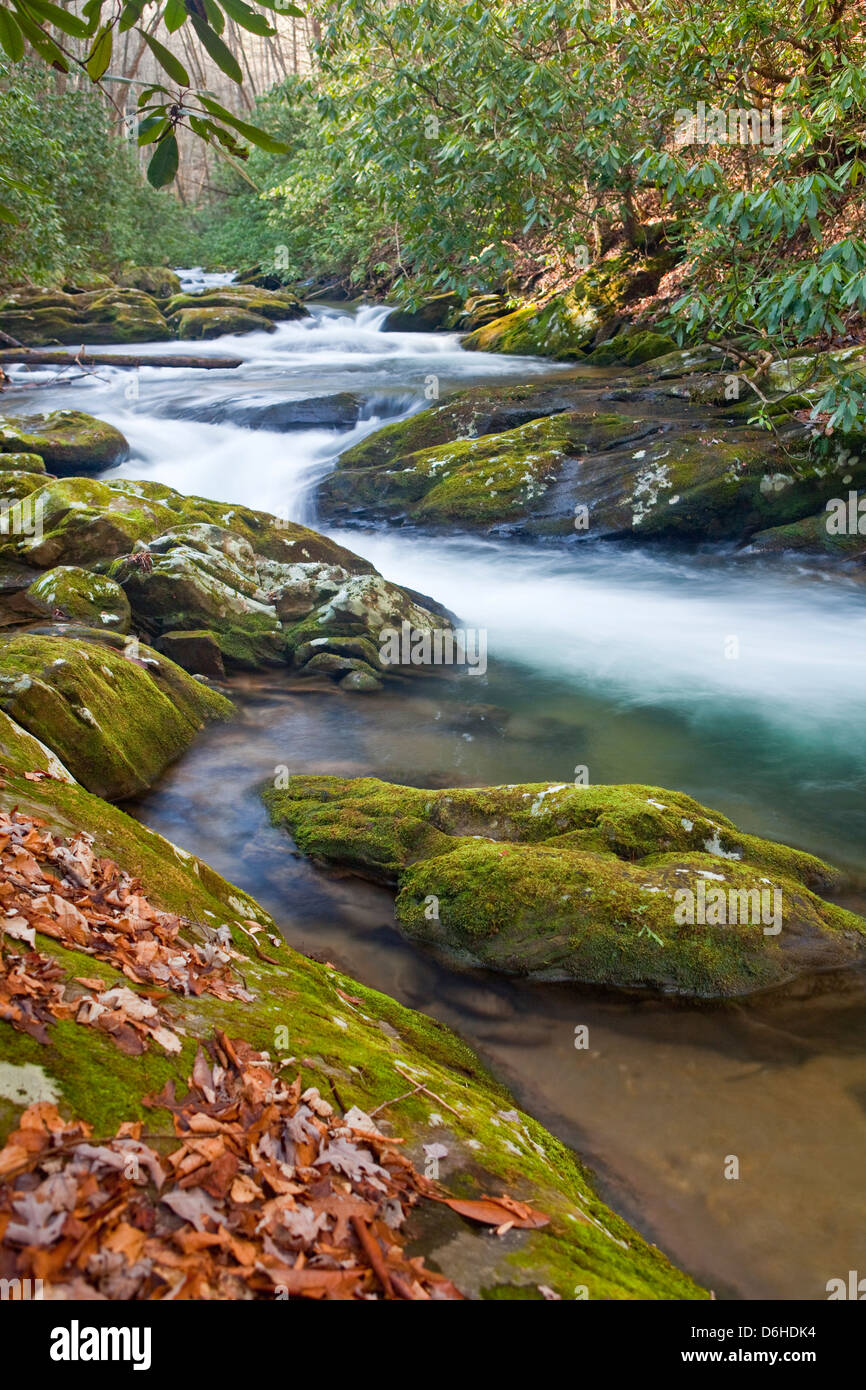 Tallulah River in North Georgia Stockfoto