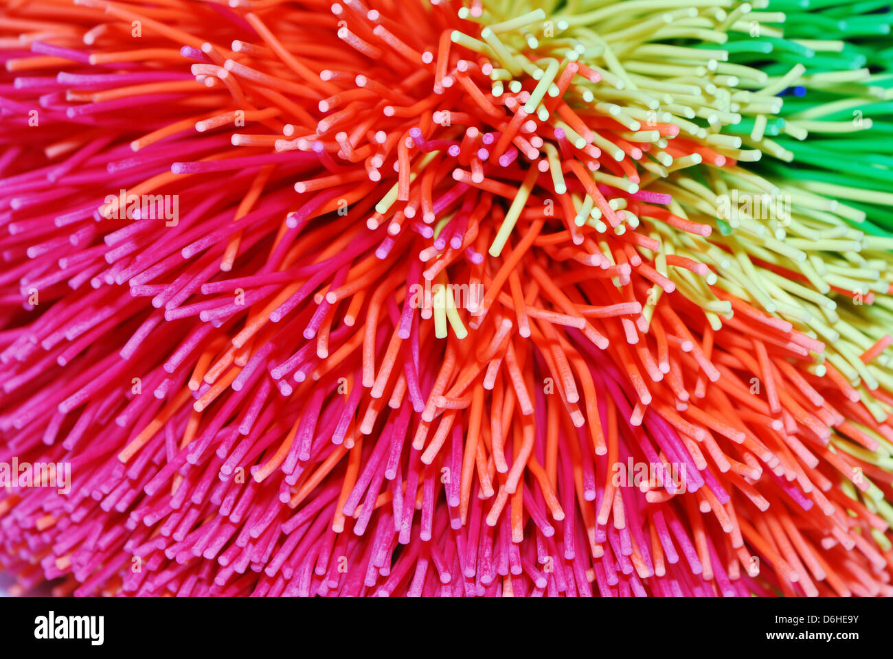 Makro von einem bunten Igel-ball Stockfoto