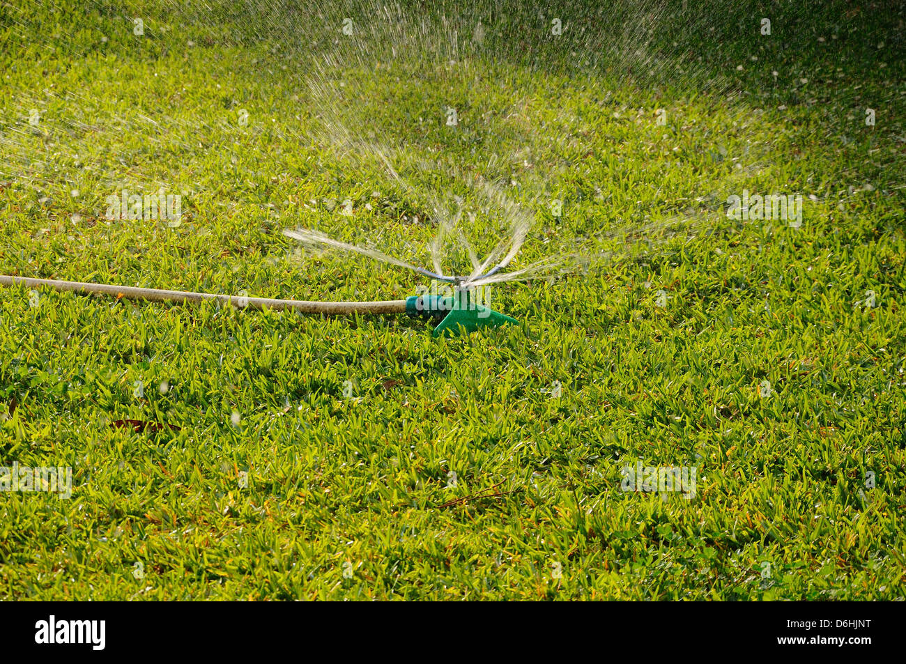 Rotierende Garten Sprinkler auf mediterranen Rasen, Calahonda, Costa Del Sol, Andalusien, Südspanien, Westeuropa. Stockfoto