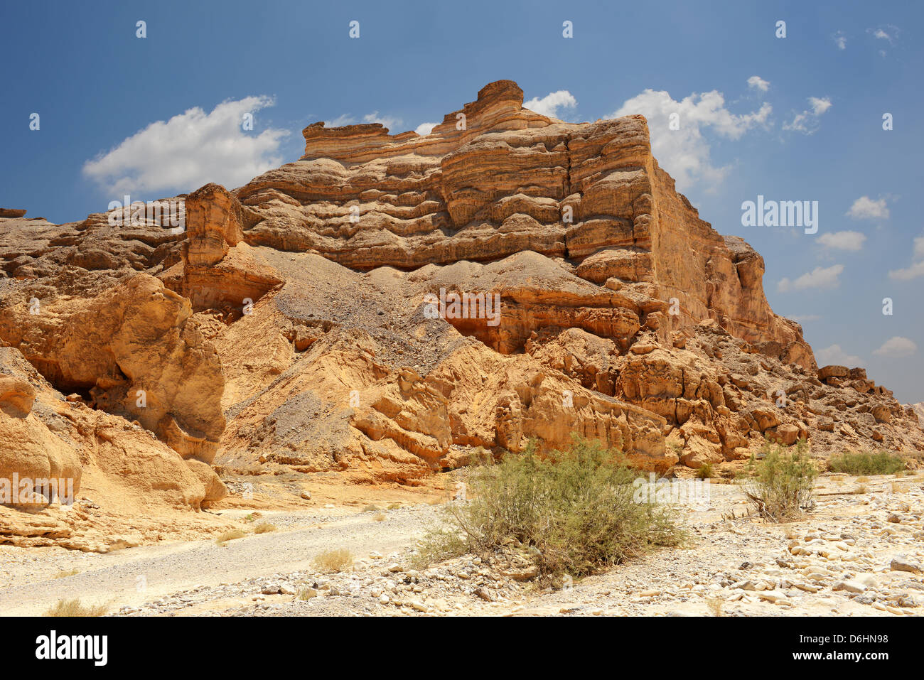 Straßen, Berge und Pflanzen in der Wüste Faran Stockfoto