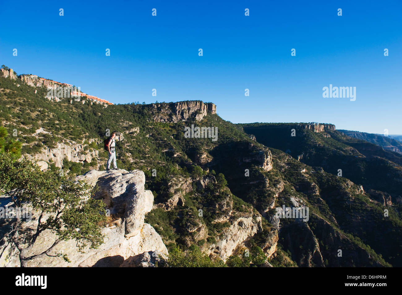 Geben Sie Barranca del Cobre, Copper Canyon, Chihuahua, Mexiko, Nordamerika (MR) Stockfoto
