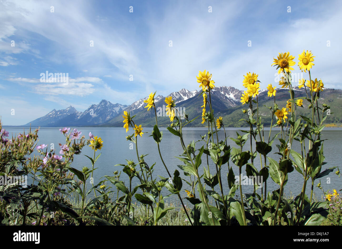 Jenny Lake und den Grand Teton massiv, Grand Teton National Park, USA Stockfoto