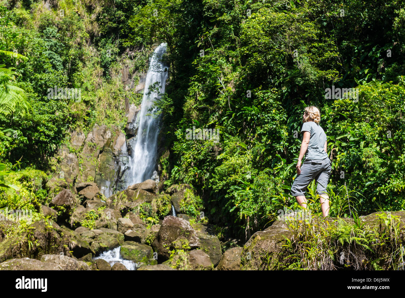 Touristen auf der Suche bei Trafalgar Wasserfälle, Morne Trois Pitons National Park, UNESCO Website, Dominica, West Indies, Karibik Stockfoto